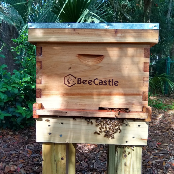 alt Bee Castle